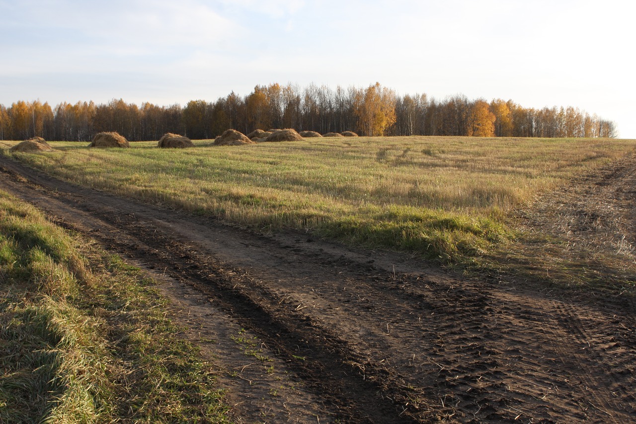 field nature russia free photo