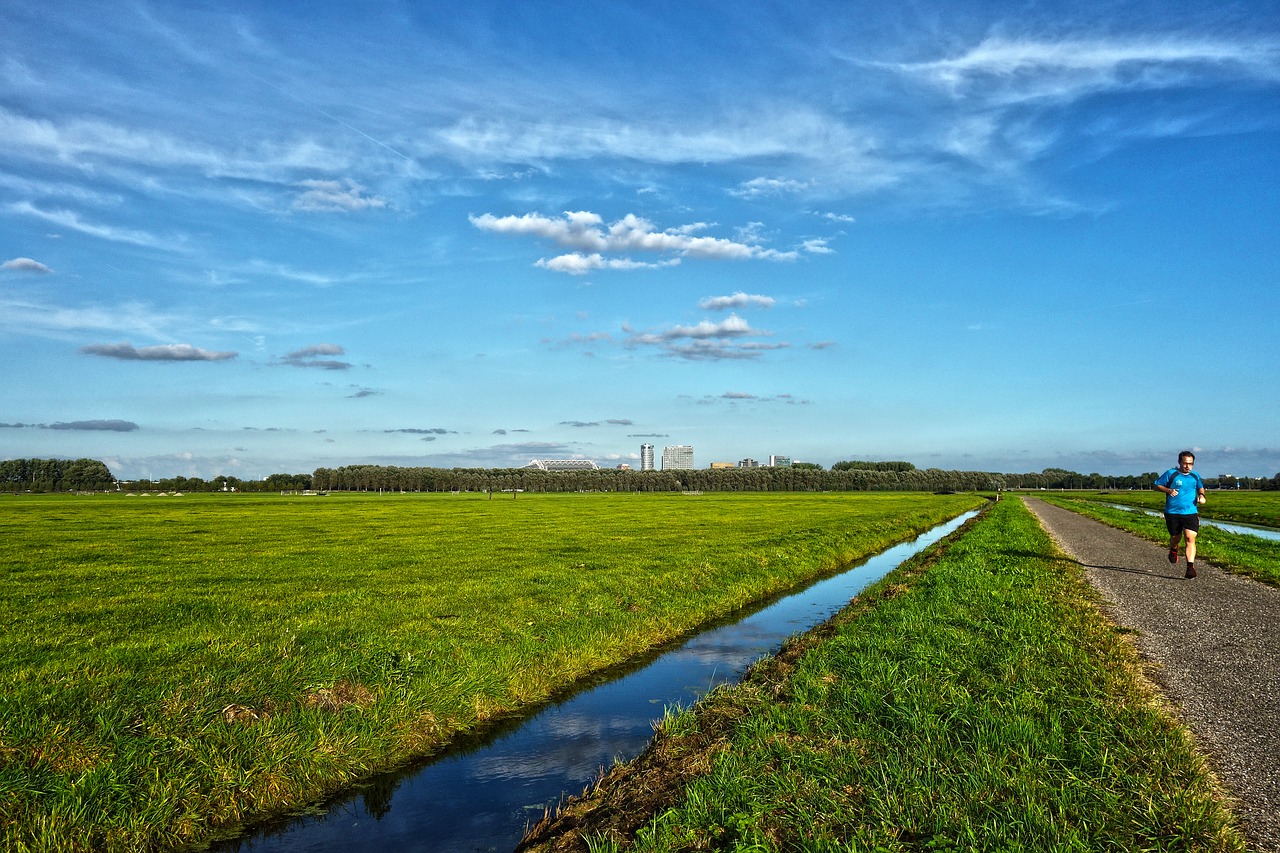 field meadow waterway free photo