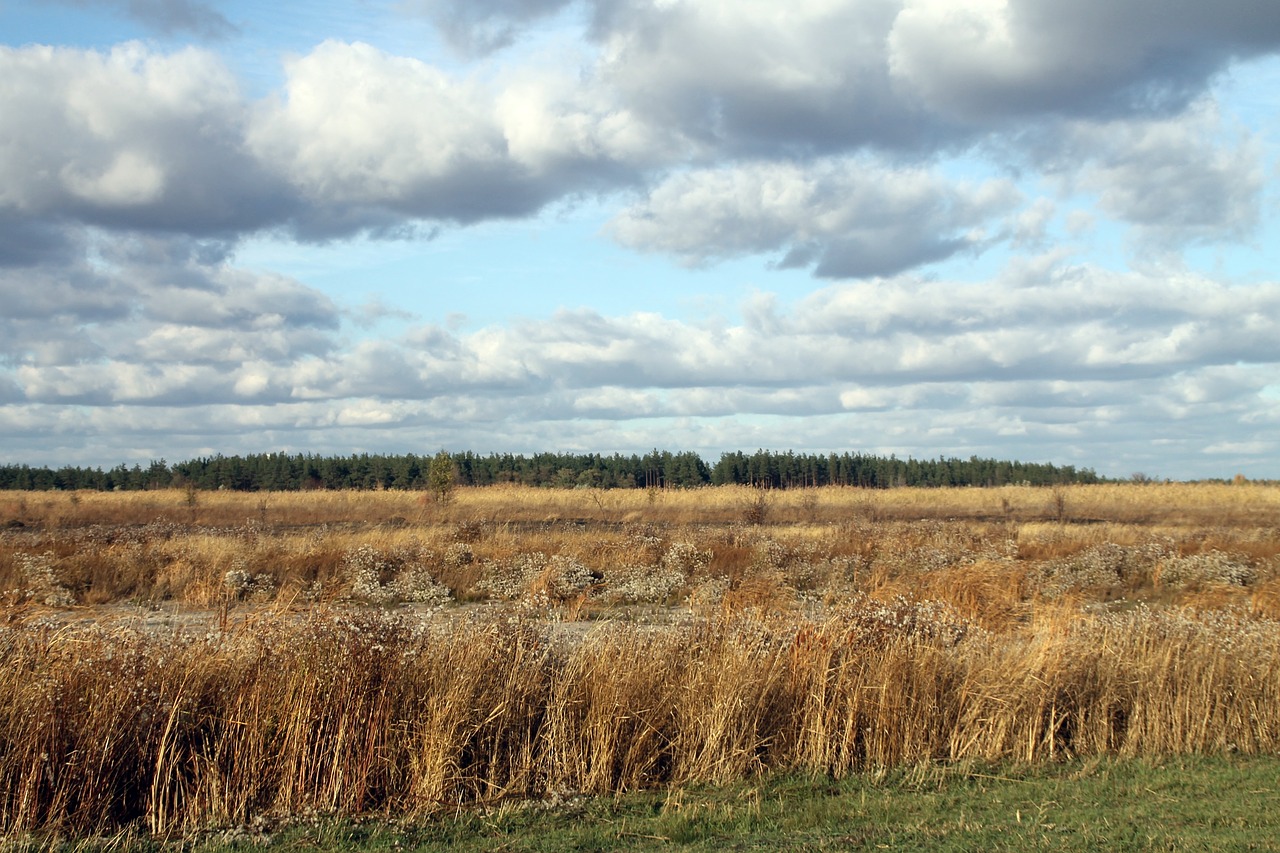 field landscape sky free photo