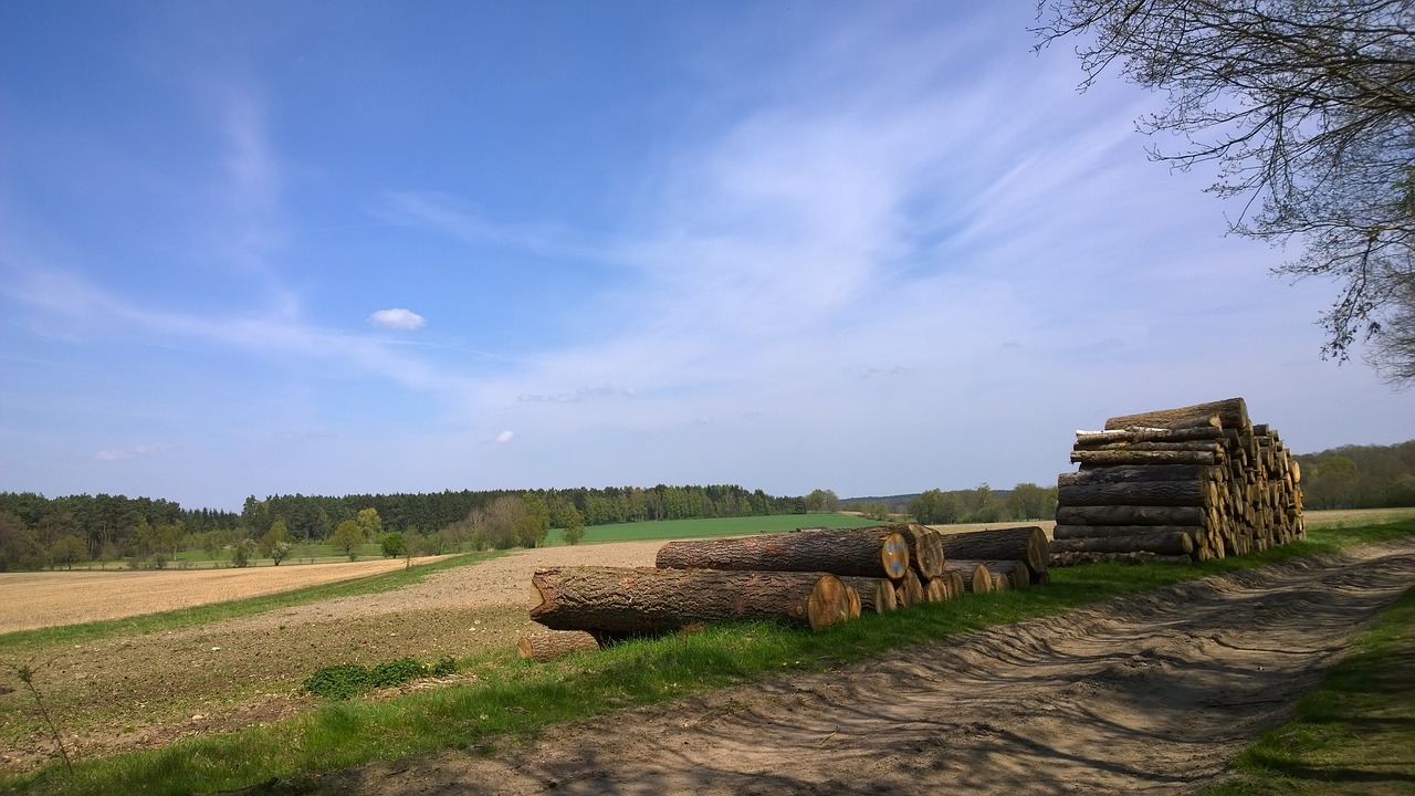 field nature silent free photo