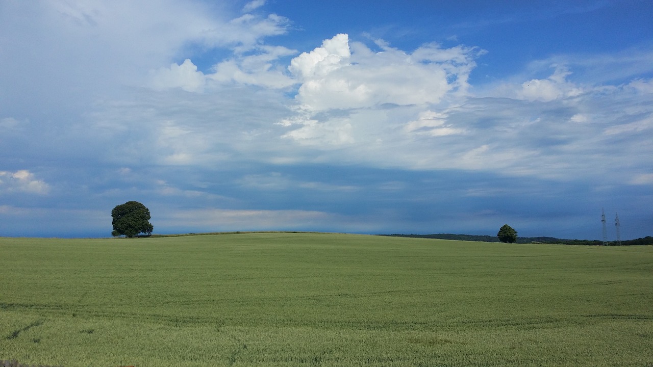 field tree clouds free photo