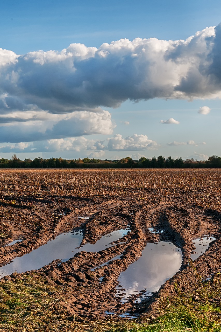 field autumn arable free photo