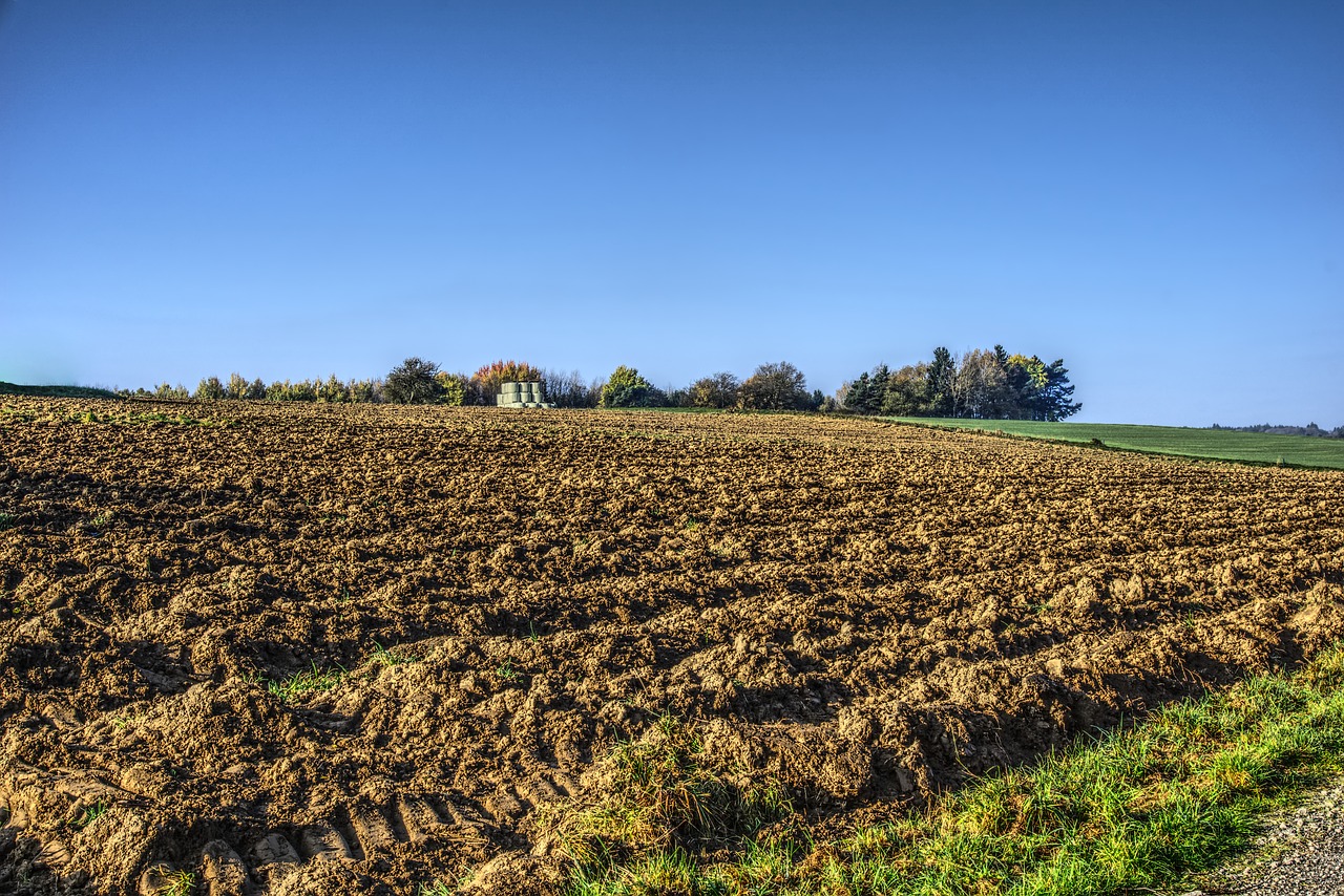 field arable agriculture free photo