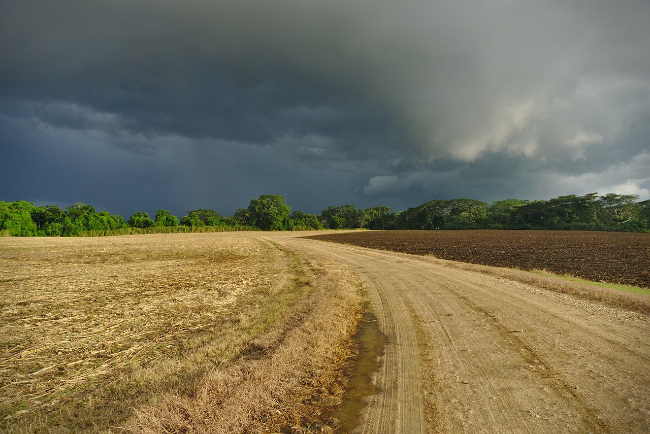 field road rural free photo