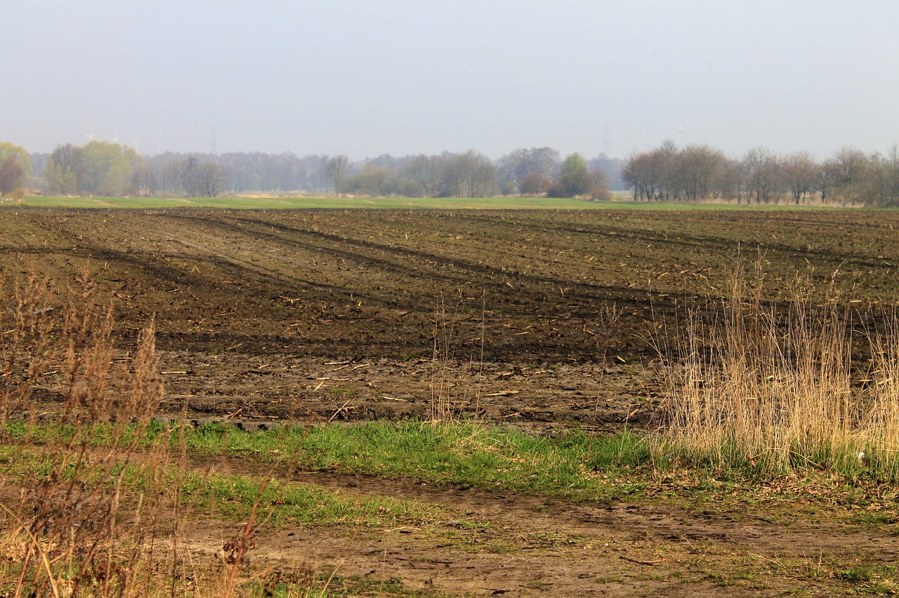 field landscape nature free photo