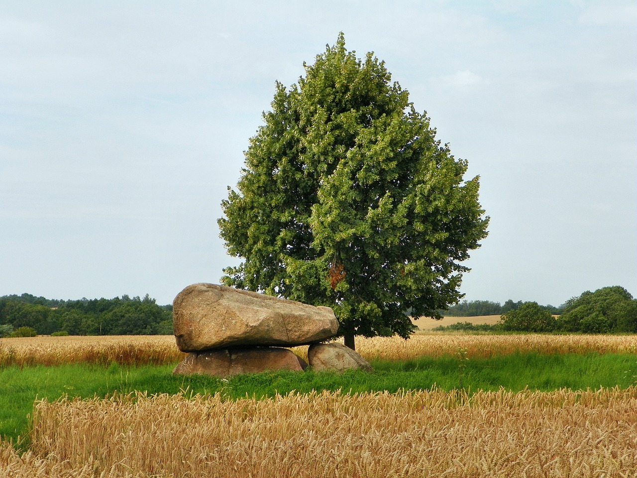 field landscape agriculture free photo