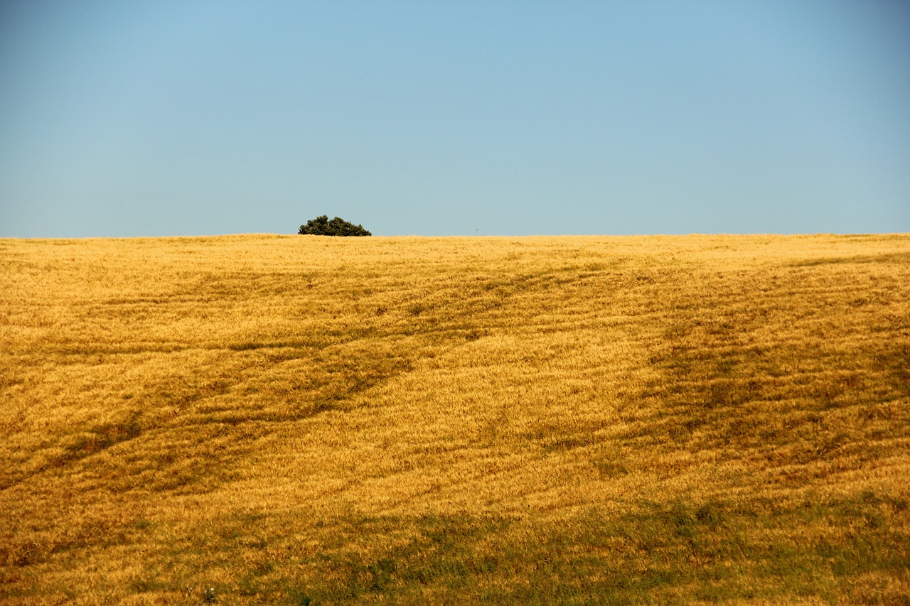 field agriculture italy free photo