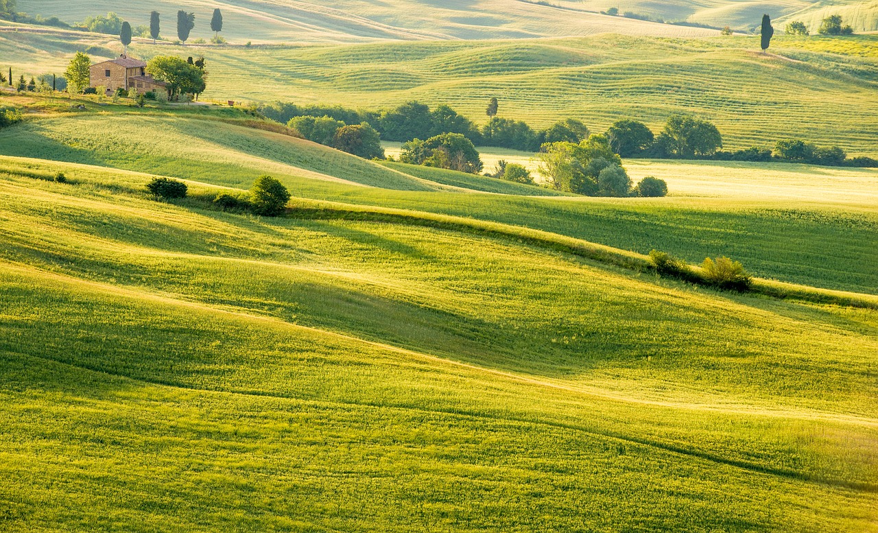 field  landscape  nature free photo