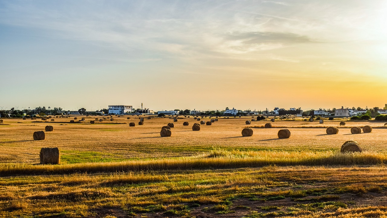 field  landscape  agriculture free photo