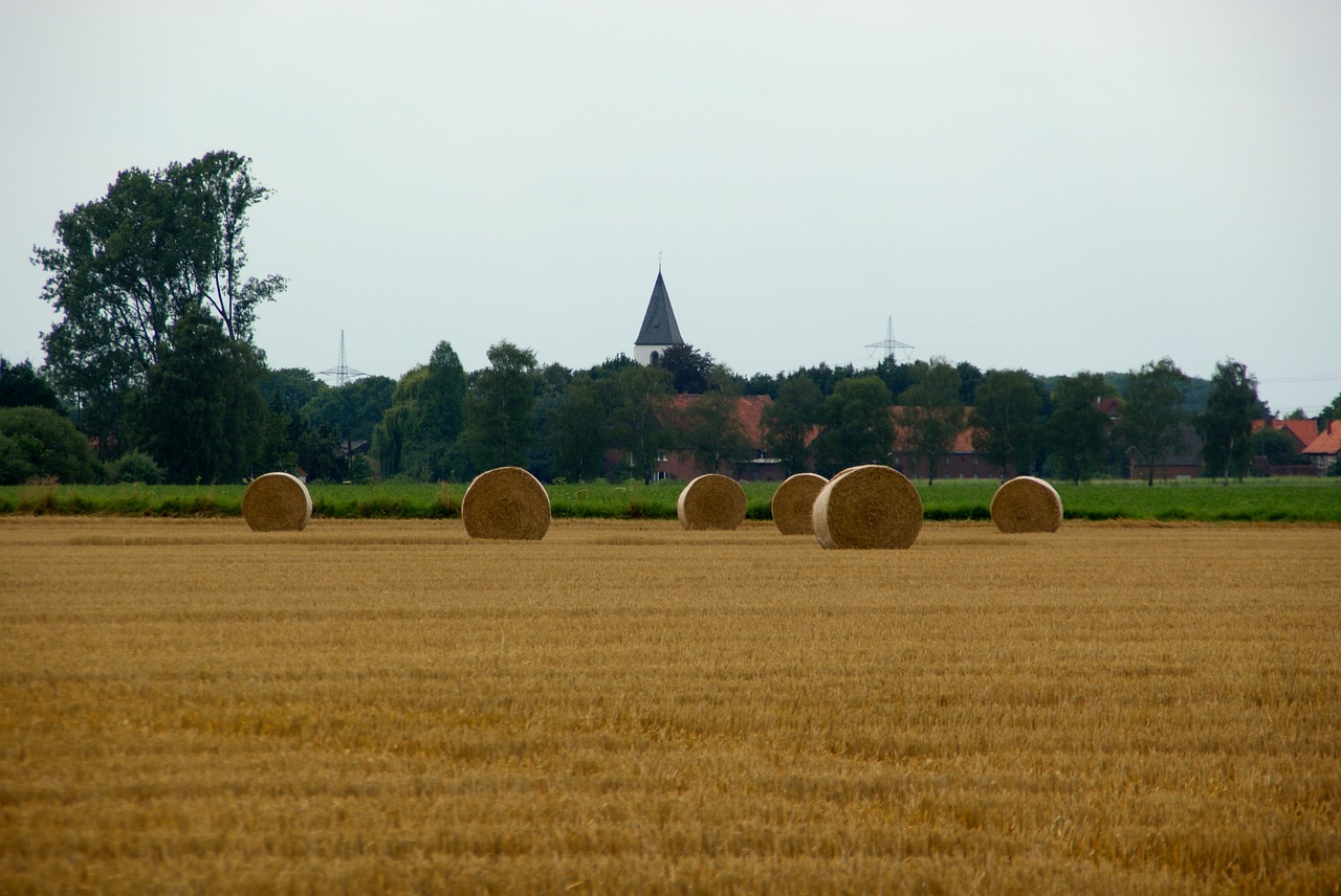 field  agriculture  farm free photo