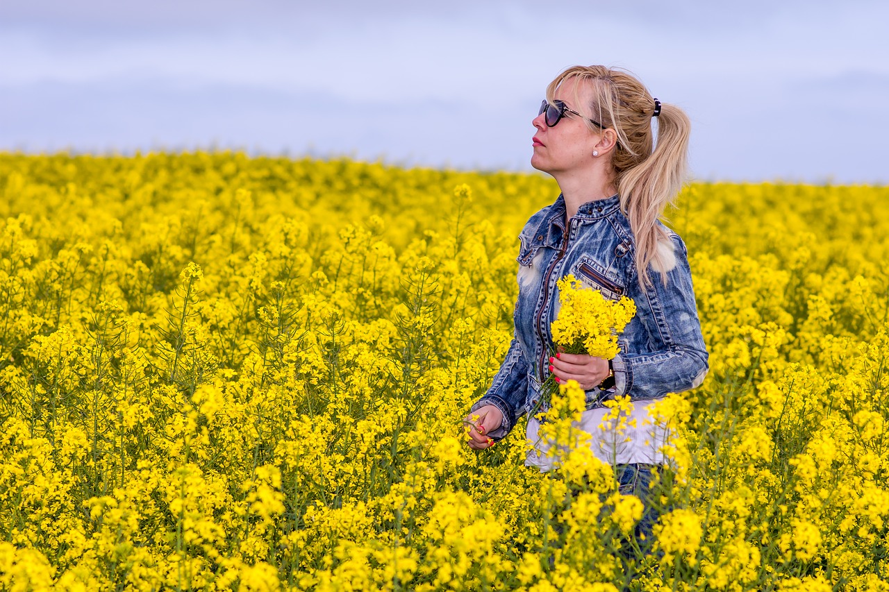 field  nature  flower free photo