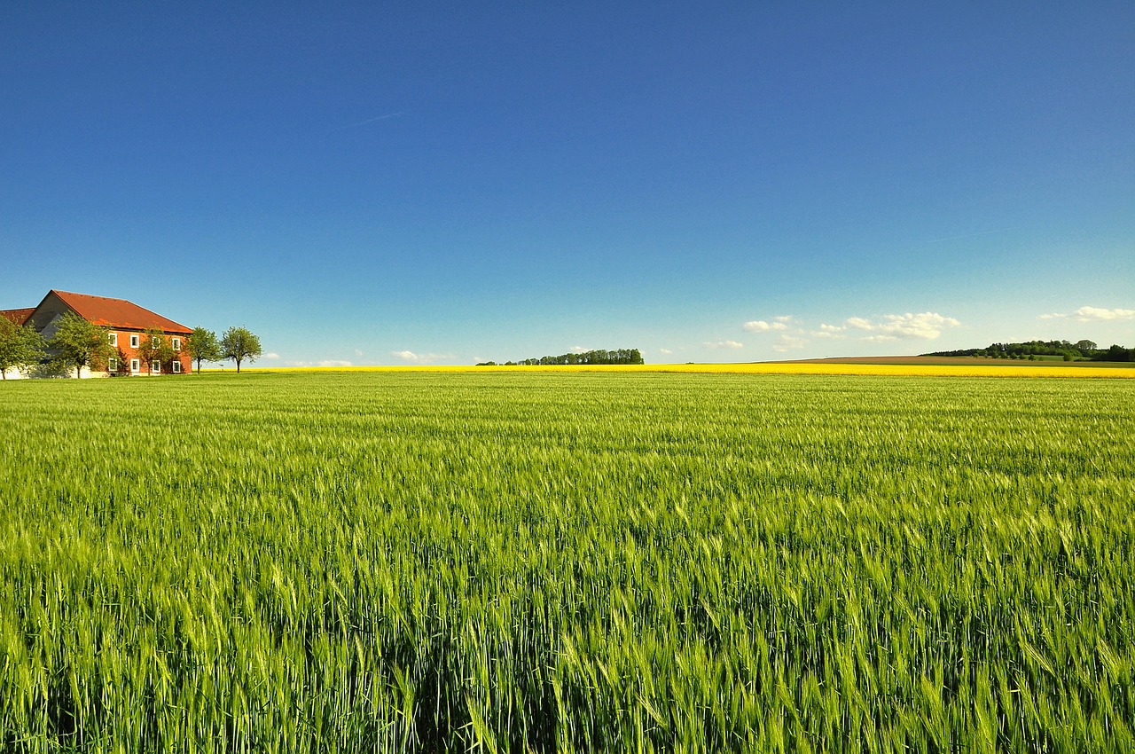 field  agriculture  farm free photo