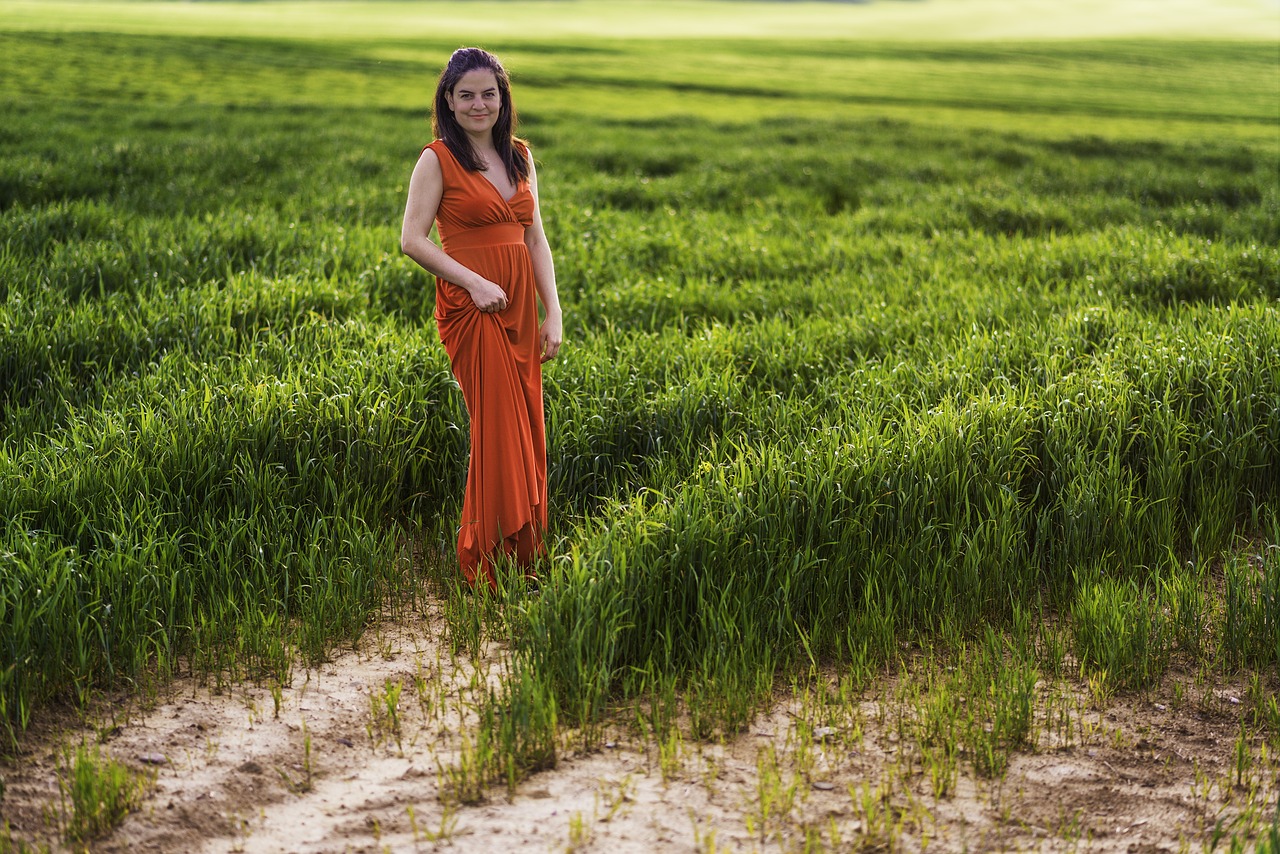 field  nature  summer free photo