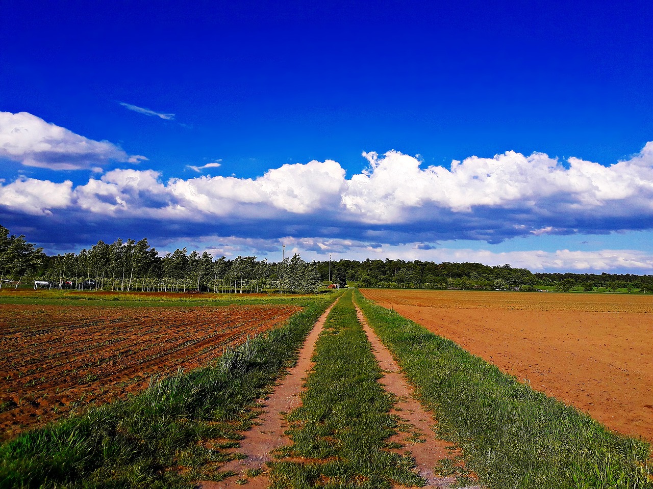 field  farm  sky free photo