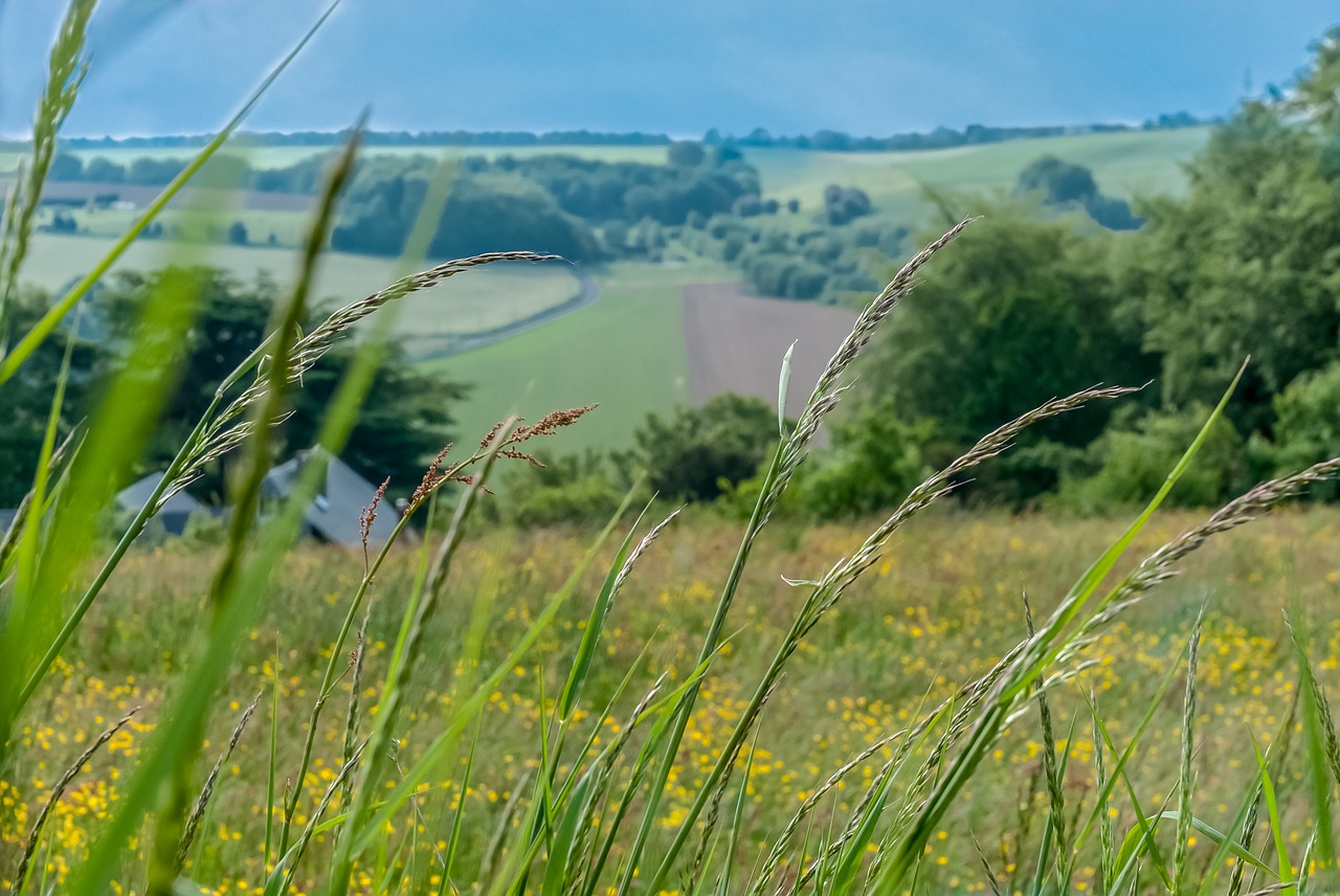 field  normandy  france free photo