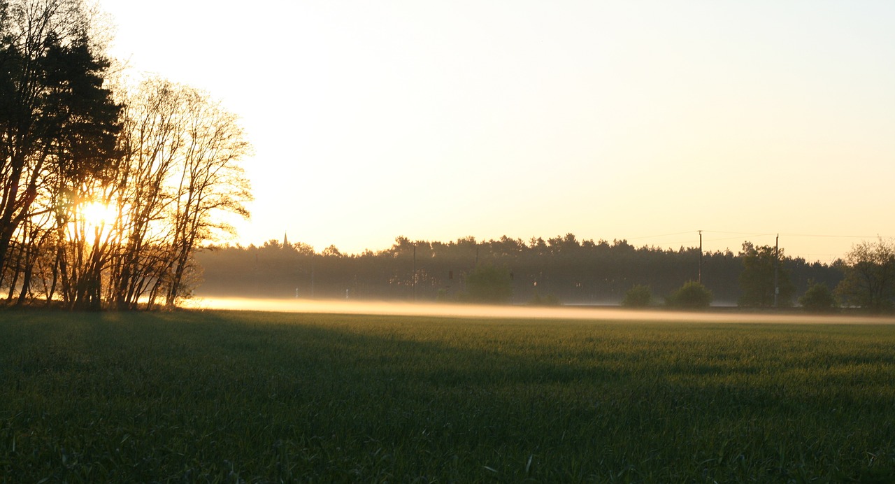 field  sunrise  mist free photo
