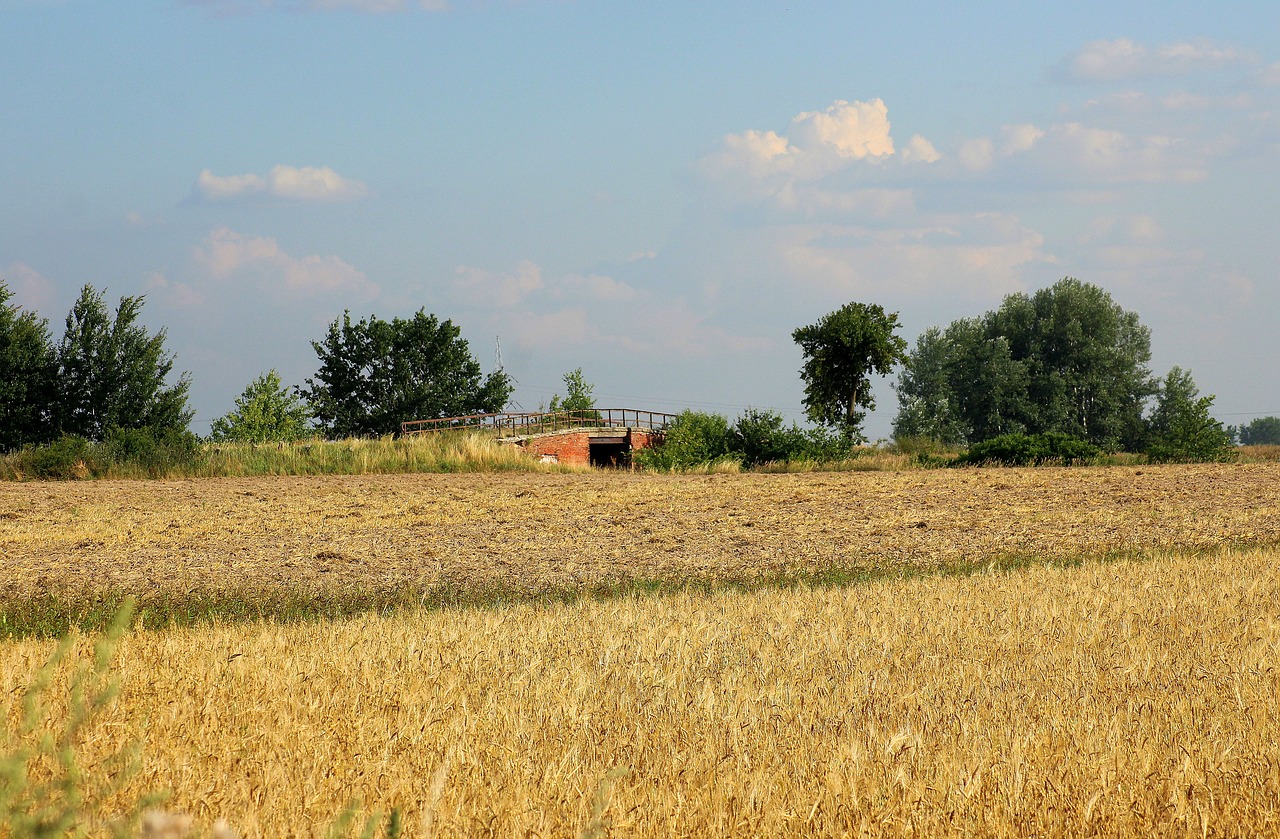 field  view  landscape rural free photo