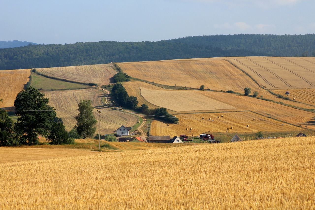 field  view  landscape free photo