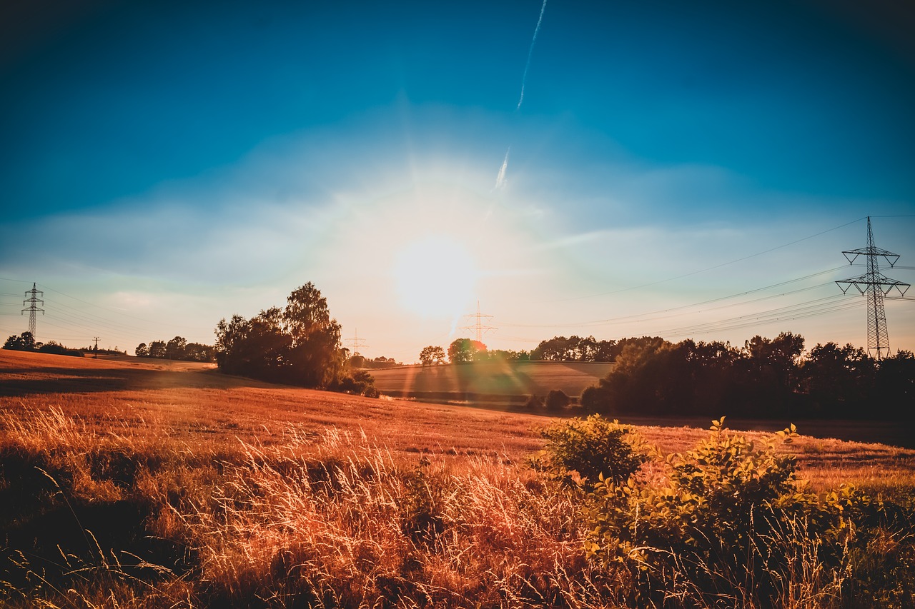 field  sun  evening free photo