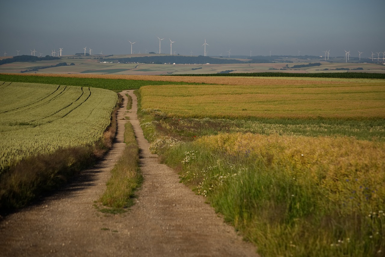 field  away  landscape free photo