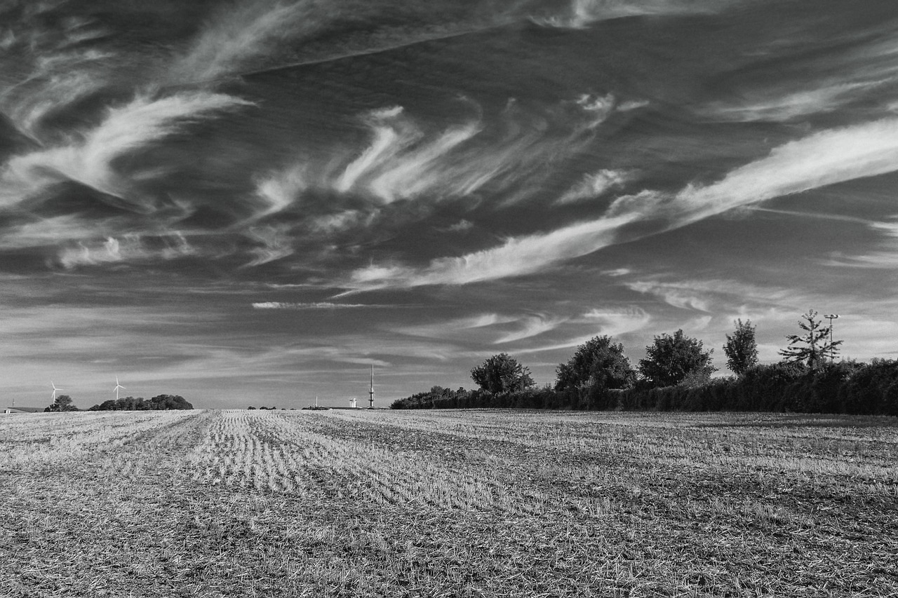 field  clouds  landscape free photo