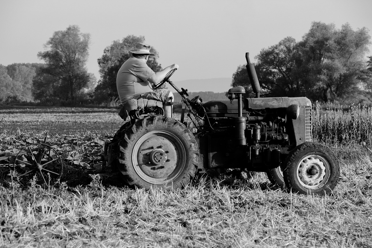 field  tractor  tractor driver free photo