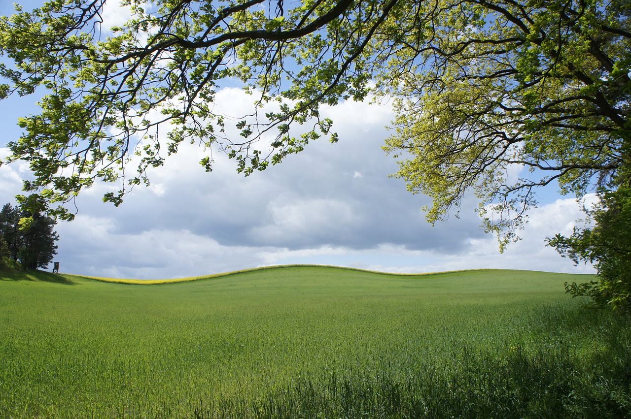 field  clouds  hill free photo