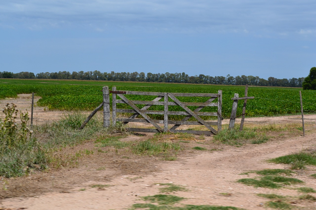 field earth grass free photo