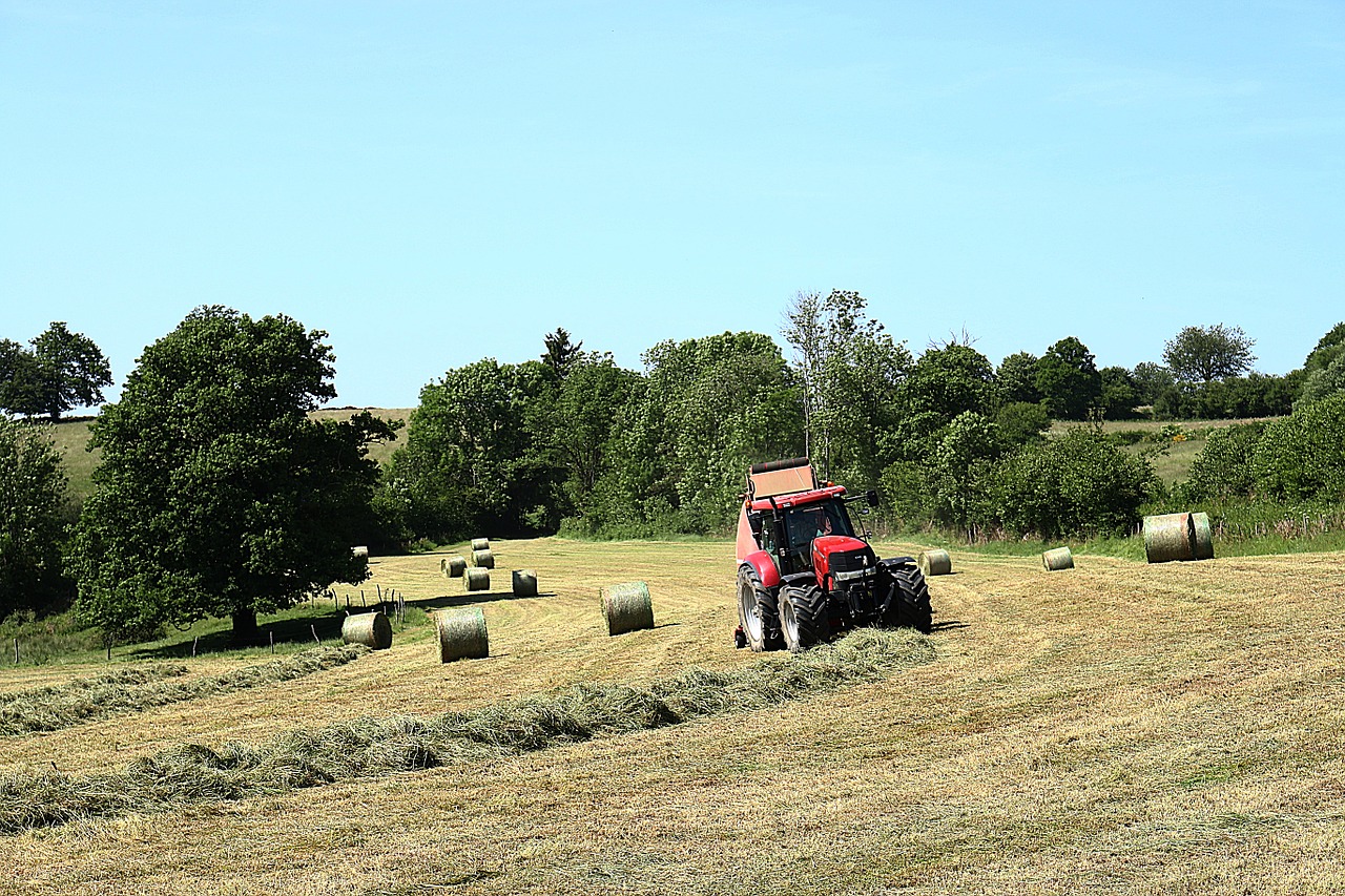 field landscape nature free photo