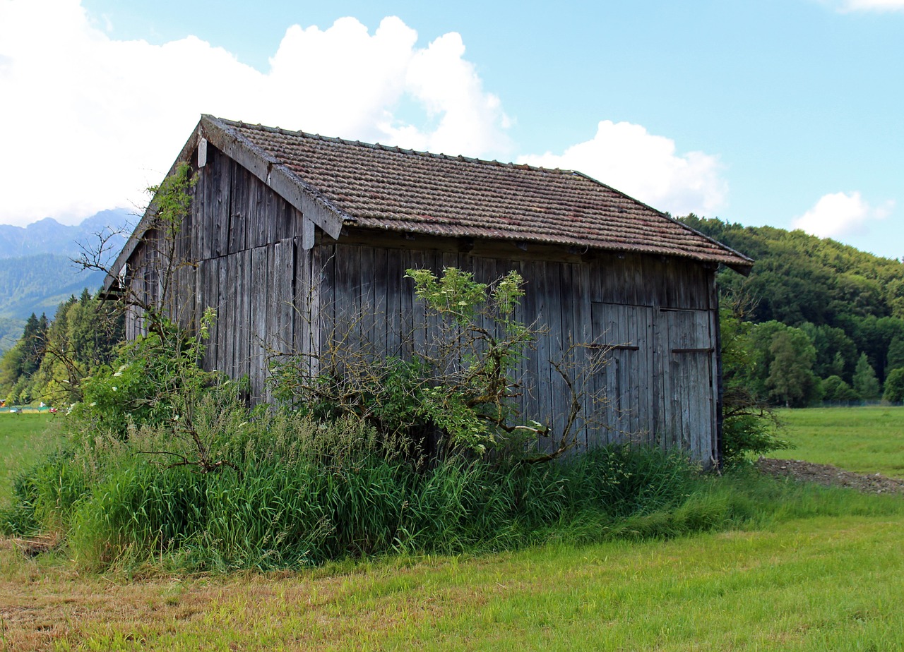 field barn hut free photo