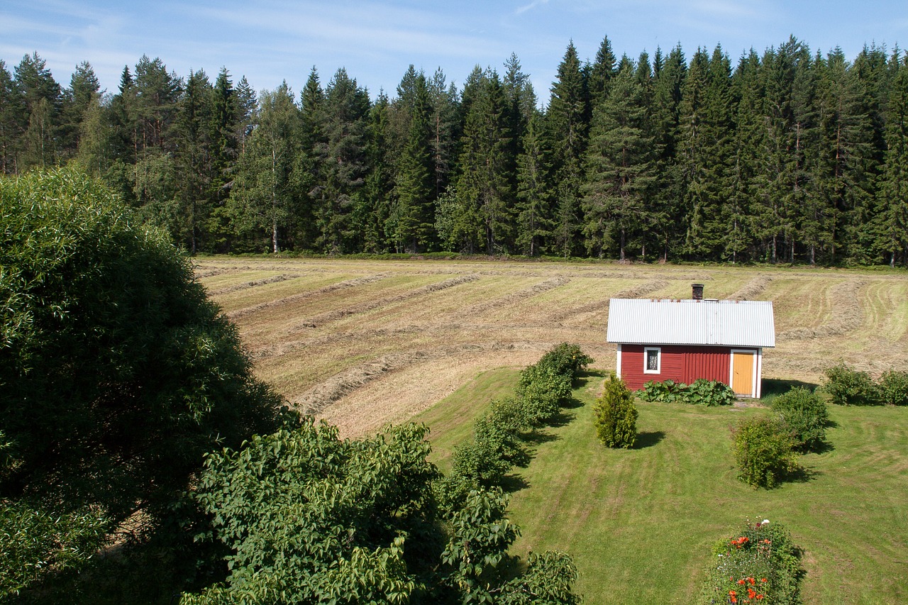 field  the harvest  cultivation free photo