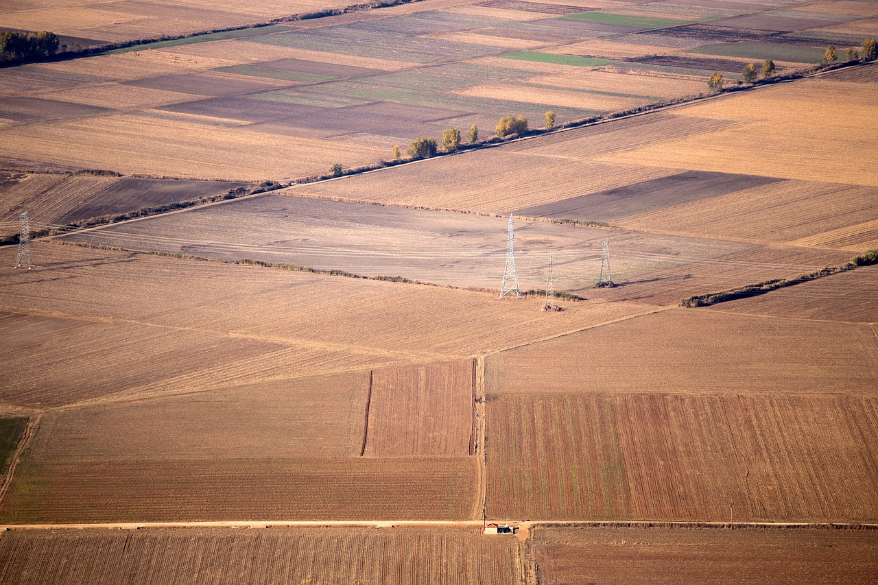 field  autumn  brown free photo