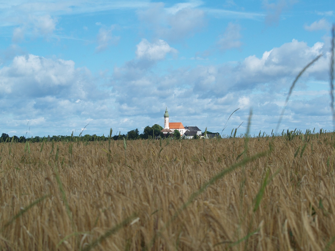 field wheat church free photo