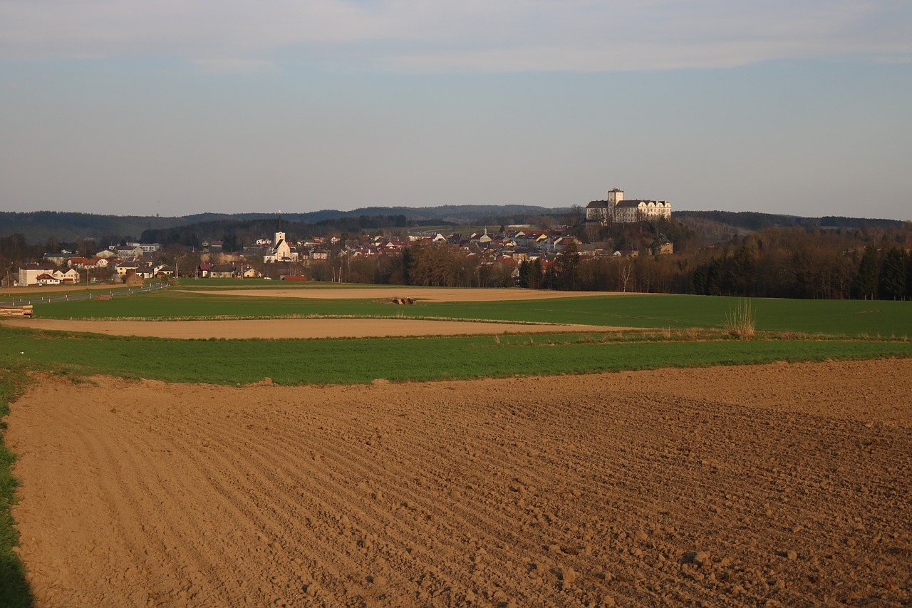 field  landscape  meadow free photo