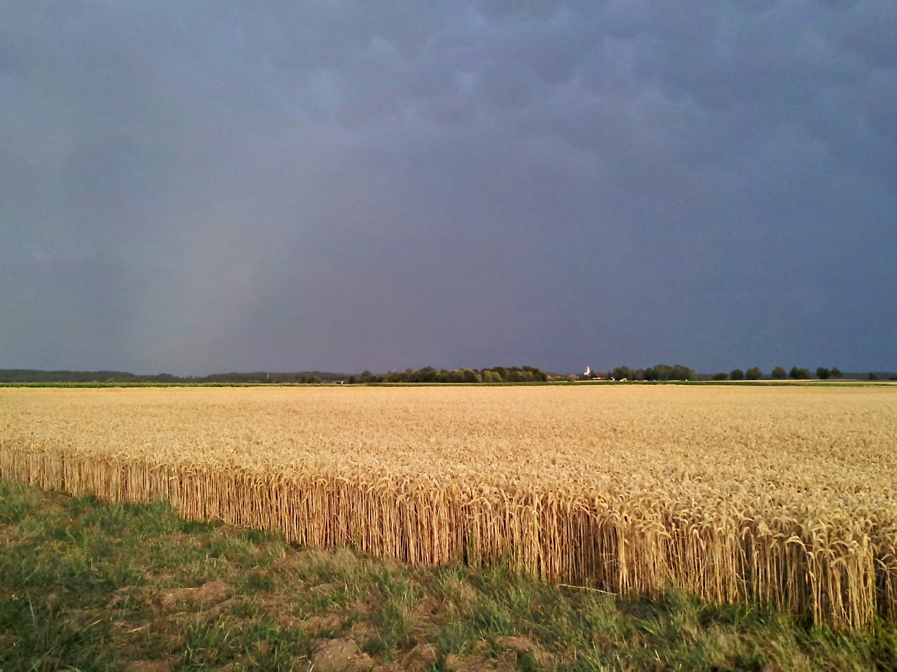 field thunderstorm gewitterstimmung free photo