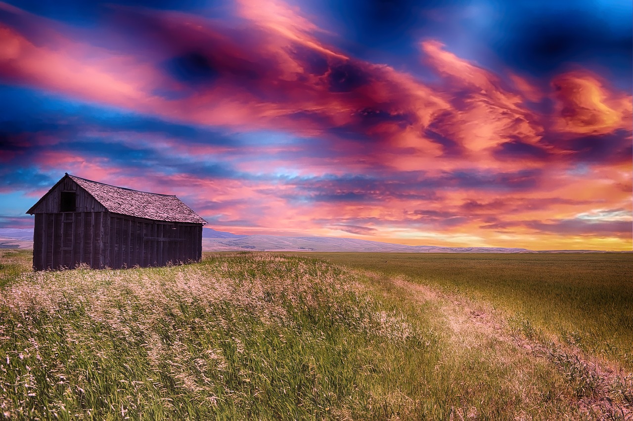 field  barn  crop free photo