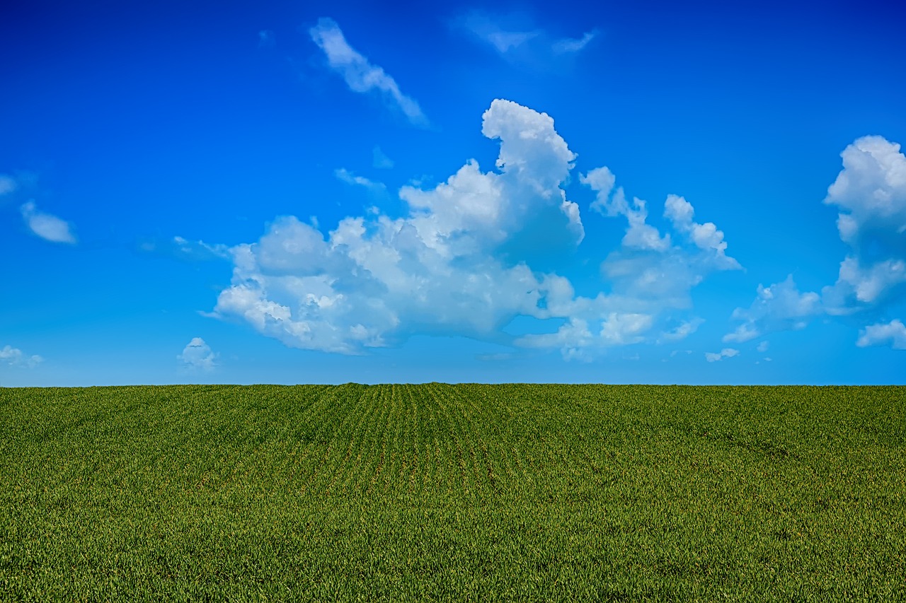 field  sky  clouds free photo