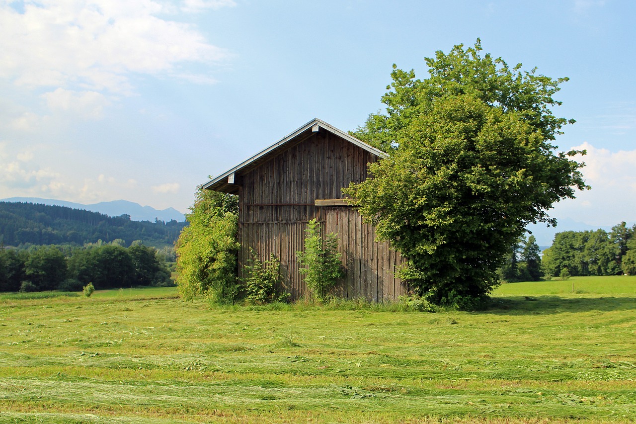 field barn hut free photo