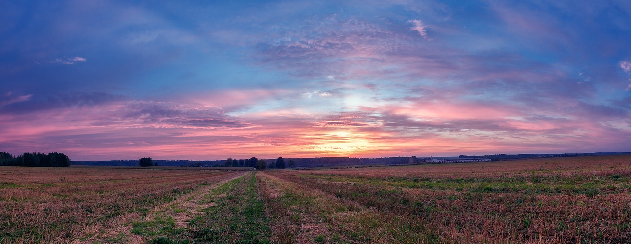 field  morning  landscape free photo