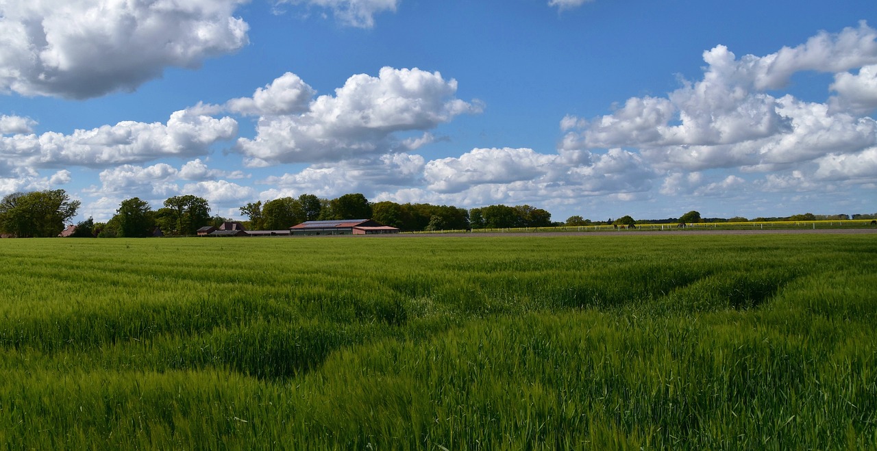 field  landscape  clouds free photo