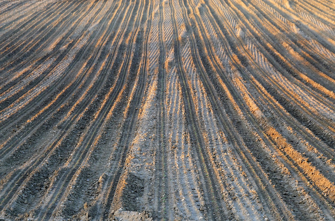 field  traces  soil free photo