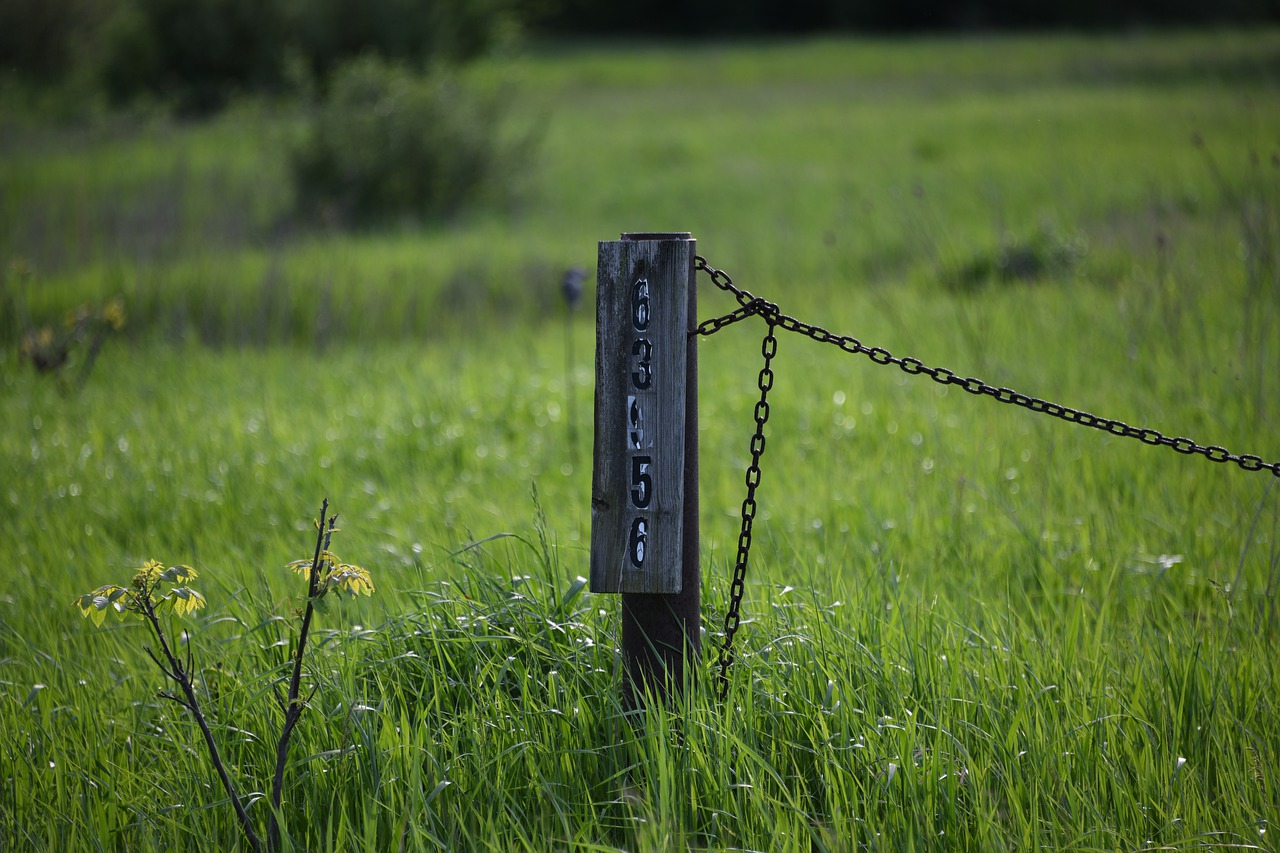 field  grassland  green free photo