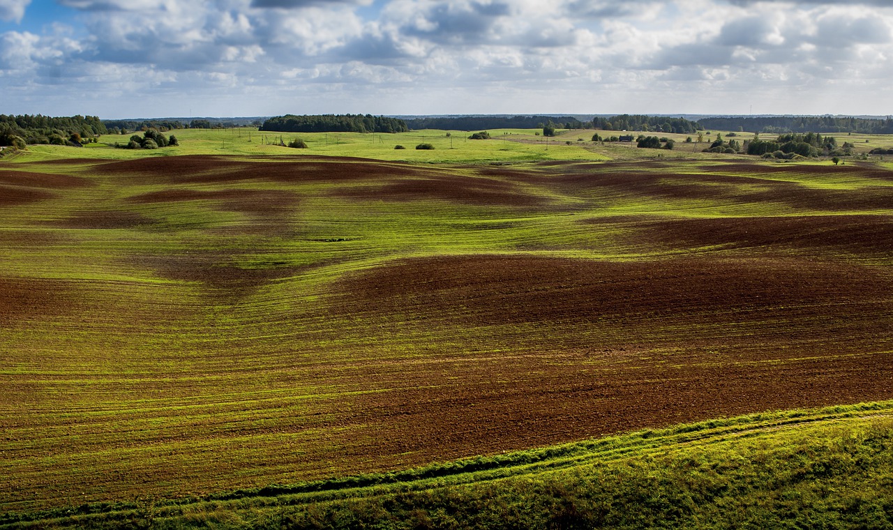 field  cloudy  clouds free photo