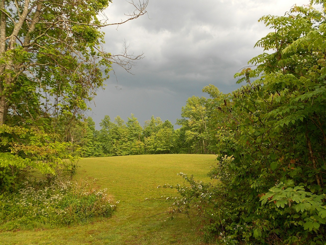 field storm nature free photo