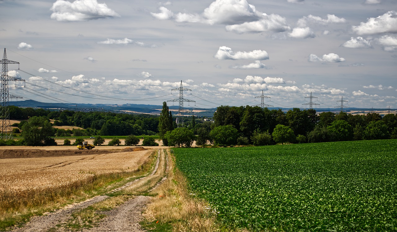 field  landscape  grain free photo