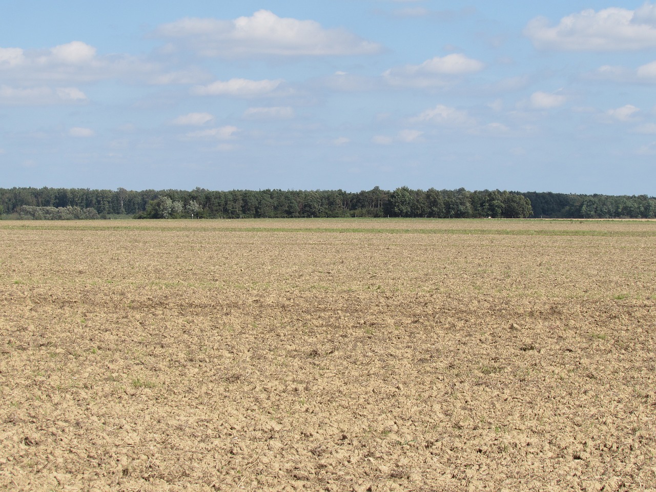 field landscape arable free photo