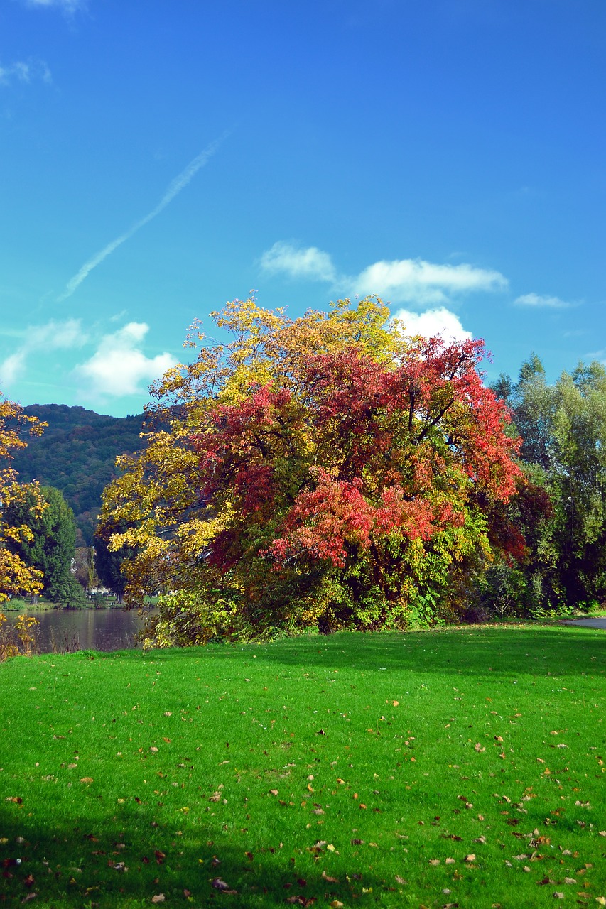 field autumn nature free photo