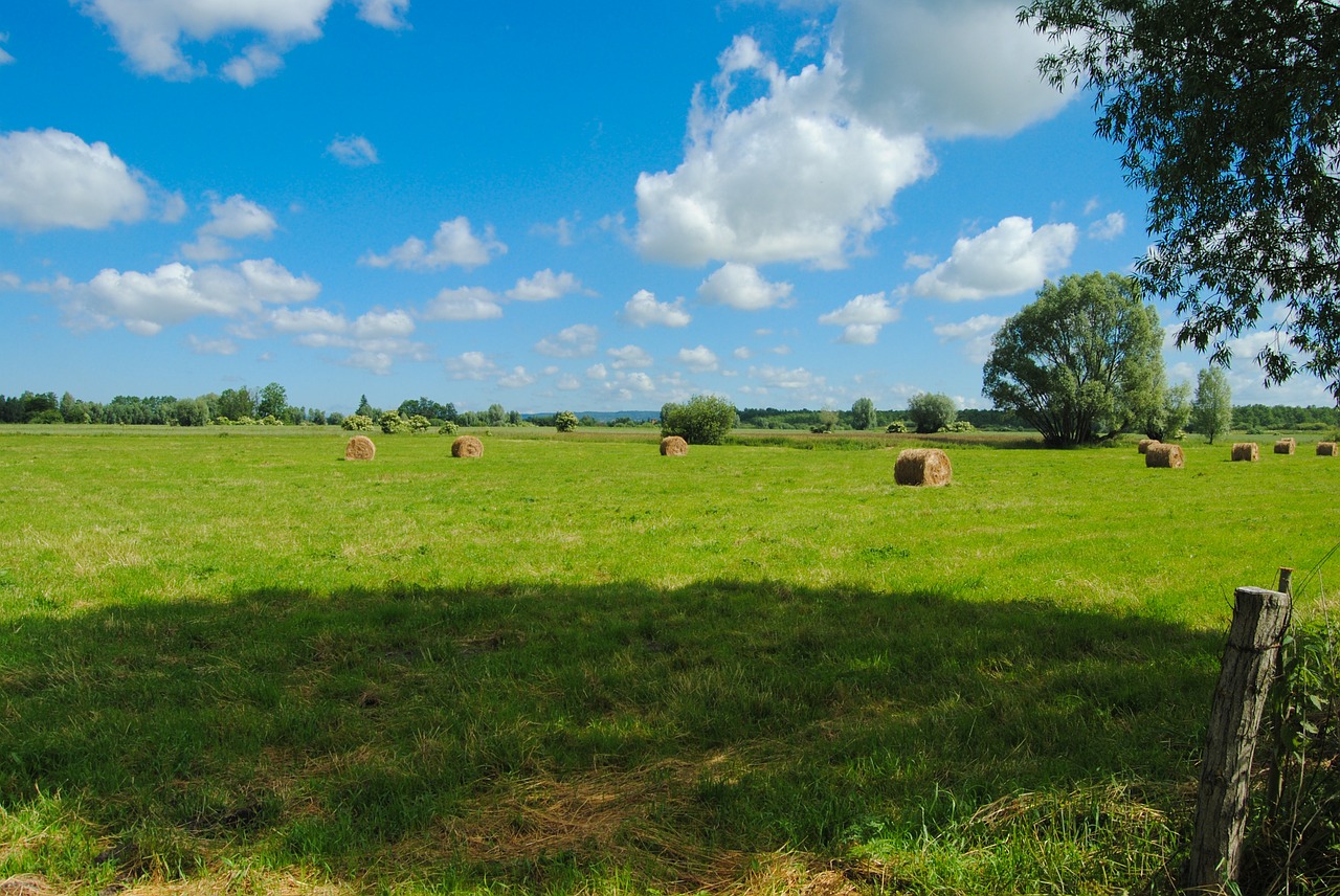 field clouds landscape free photo