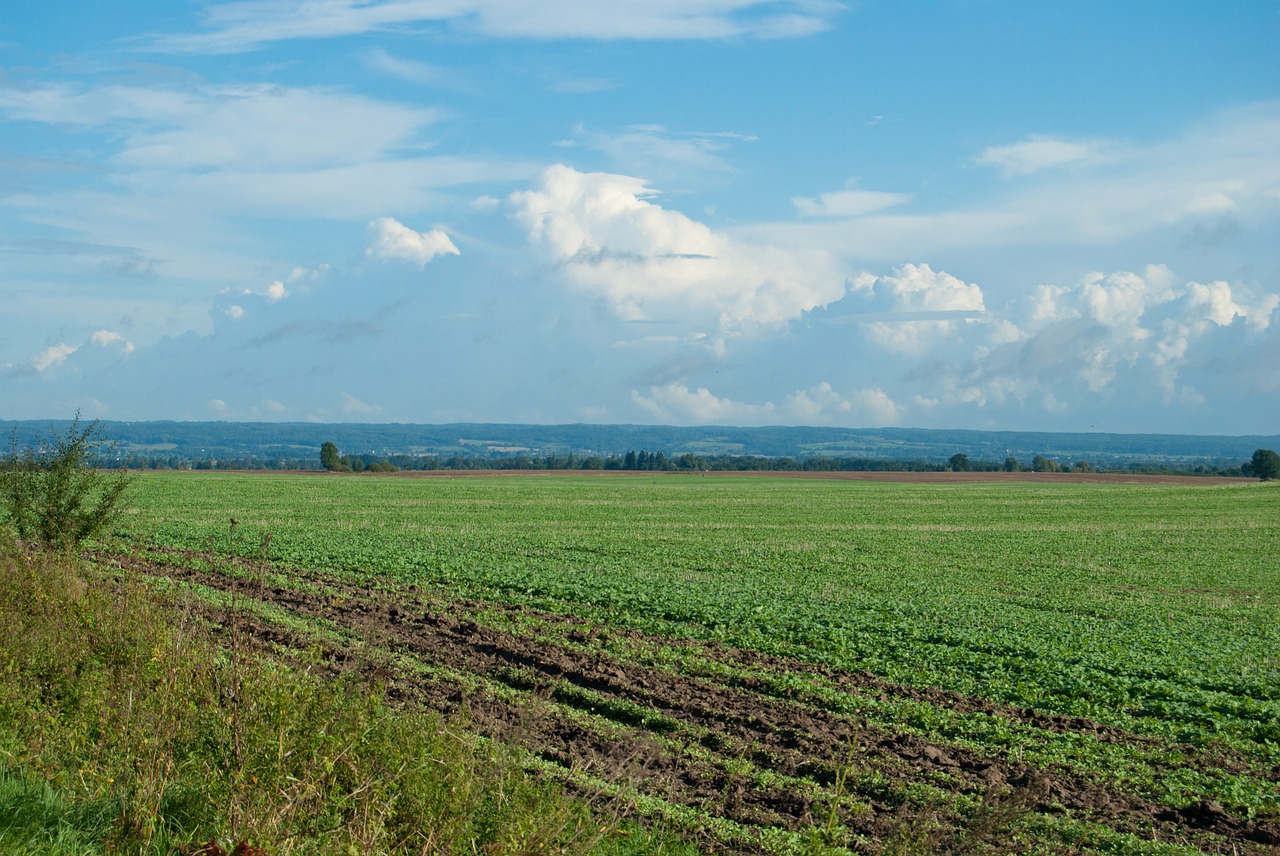 field clouds landscape free photo