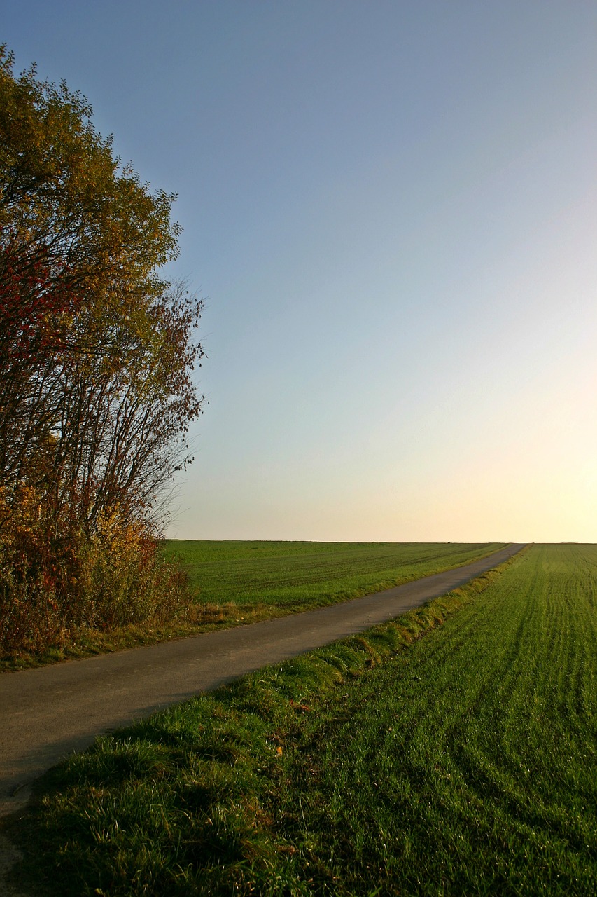 field lane away free photo